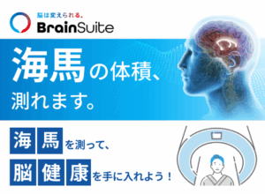 BrainSuite